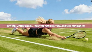 荷兰地区VPN服务解析，为何它成为全球用户隐私与访问自由的新选择？