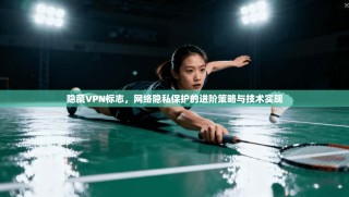 隐藏VPN标志，网络隐私保护的进阶策略与技术实现