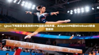 Linux下构建安全高效的VPN远程访问方案，从OpenVPN到WireGuard的全面解析