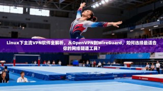 Linux下主流VPN软件全解析，从OpenVPN到WireGuard，如何选择最适合你的网络隧道工具？