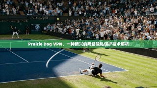 Prairie Dog VPN，一种新兴的网络隐私保护技术解析