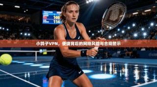 小鸽子VPN，便捷背后的网络风险与合规警示