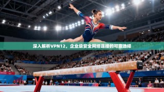 深入解析VPN12，企业级安全网络连接的可靠选择
