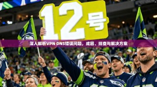 深入解析VPN DNS错误问题，成因、排查与解决方案