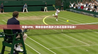 双鱼VPN，网络自由的鱼跃之选还是数字陷阱？