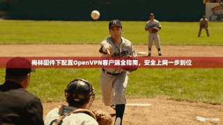 梅林固件下配置OpenVPN客户端全指南，安全上网一步到位
