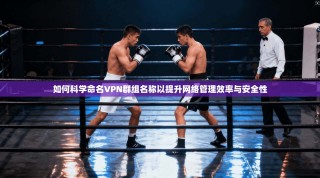 如何科学命名VPN群组名称以提升网络管理效率与安全性