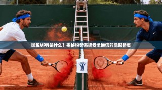 国税VPN是什么？揭秘税务系统安全通信的隐形桥梁