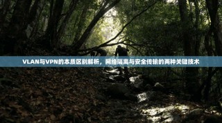 VLAN与VPN的本质区别解析，网络隔离与安全传输的两种关键技术
