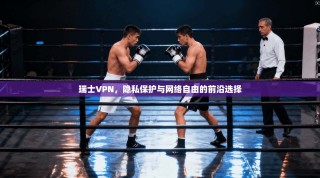 瑞士VPN，隐私保护与网络自由的前沿选择