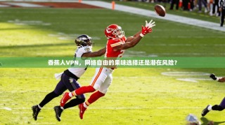 香蕉人VPN，网络自由的果味选择还是潜在风险？