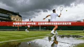 美国固定独享VPN专线，企业级网络稳定与安全的首选方案