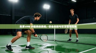 免费VPN IP服务的真相，安全风险与合法使用指南