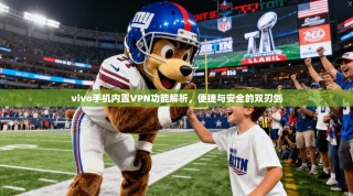 vivo手机内置VPN功能解析，便捷与安全的双刃剑