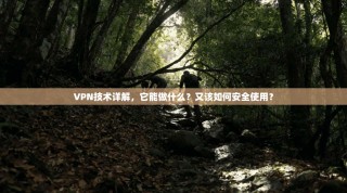 VPN技术详解，它能做什么？又该如何安全使用？