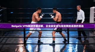 Netgate VPN解决方案详解，企业级安全与高效网络连接的首选