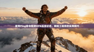 使用Ping命令检测VPN连接状态，网络工程师的实用技巧