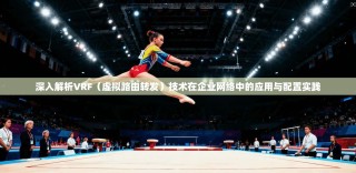 深入解析VRF（虚拟路由转发）技术在企业网络中的应用与配置实践
