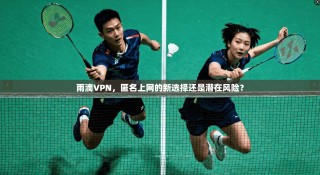 雨滴VPN，匿名上网的新选择还是潜在风险？