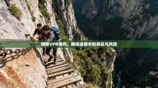 揭秘VPN海豹，网络迷雾中的真实与风险