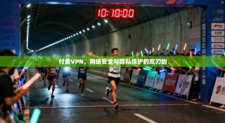 付费VPN，网络安全与隐私保护的双刃剑