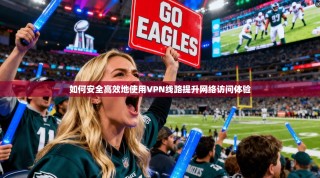 如何安全高效地使用VPN线路提升网络访问体验