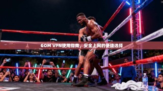 GOM VPN使用指南，安全上网的便捷选择