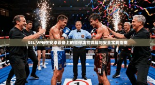 SSL VPN在安卓设备上的暂停功能详解与安全实践指南