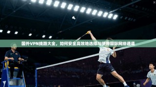 国外VPN线路大全，如何安全高效地选择与使用国际网络通道