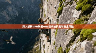 深入解析VPN转发DNS请求的机制与安全风险