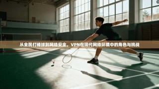 从全民打棒球到网络安全，VPN在现代网络环境中的角色与挑战