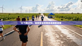 SS飞鱼VPN，高效安全的网络连接新选择