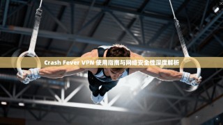 Crash Fever VPN 使用指南与网络安全性深度解析