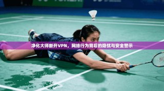 净化大师断开VPN，网络行为背后的隐忧与安全警示