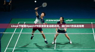 Linux下配置OpenVPN实现安全远程访问，端口807的实战指南
