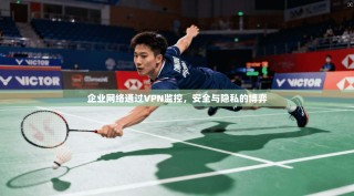 企业网络通过VPN监控，安全与隐私的博弈