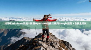 如何在Windows系统中配置OpenVPN连接以访问Google服务（含安全建议）