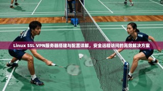 Linux SSL VPN服务器搭建与配置详解，安全远程访问的高效解决方案