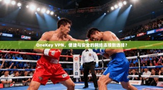 OneKey VPN，便捷与安全的网络连接新选择？