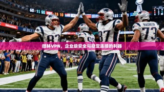 微林VPN，企业级安全与稳定连接的利器