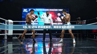 SSL 与 VPN 的深度解析，网络安全的双刃剑