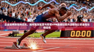 企业级网络架构优化，如何高效配置与管理VPN连接以提升远程办公安全性与稳定性