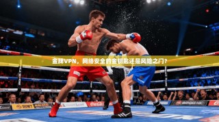 金牌VPN，网络安全的金钥匙还是风险之门？