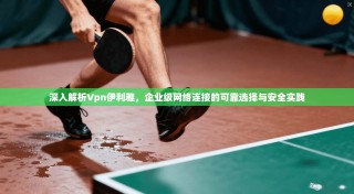 深入解析Vpn伊利雅，企业级网络连接的可靠选择与安全实践
