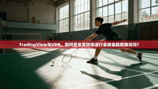 TradingView与VPN，如何安全高效地进行全球金融数据访问？