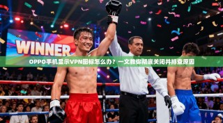 OPPO手机显示VPN图标怎么办？一文教你彻底关闭并排查原因
