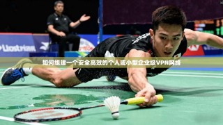 如何组建一个安全高效的个人或小型企业级VPN网络