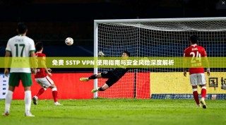免费 SSTP VPN 使用指南与安全风险深度解析