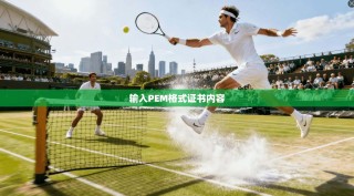 输入PEM格式证书内容
