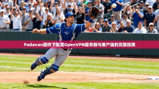 Padavan固件下配置OpenVPN服务器与客户端的完整指南